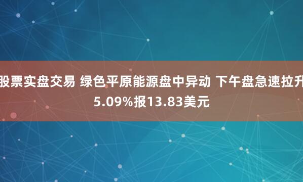 股票实盘交易 绿色平原能源盘中异动 下午盘急速拉升5.09%报13.83美元