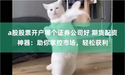 a股股票开户哪个证券公司好 期货配资神器：助你掌控市场，轻松获利