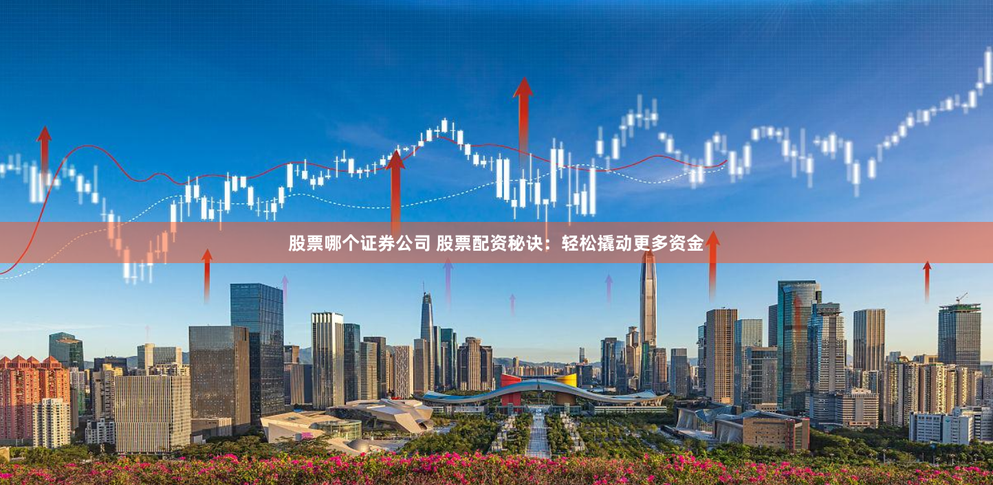 股票哪个证券公司 股票配资秘诀：轻松撬动更多资金