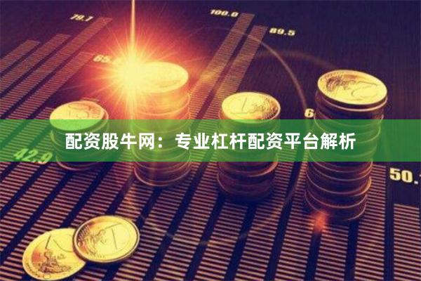 配资股牛网：专业杠杆配资平台解析